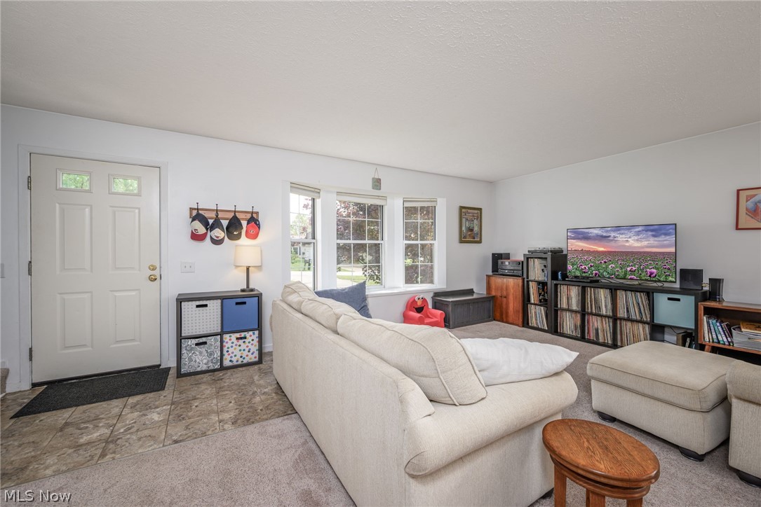 1722 W Idlewood Drive Twinsburg OH 44087