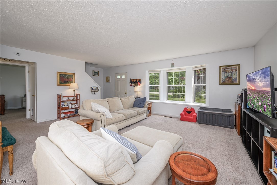 1722 W Idlewood Drive Twinsburg OH 44087