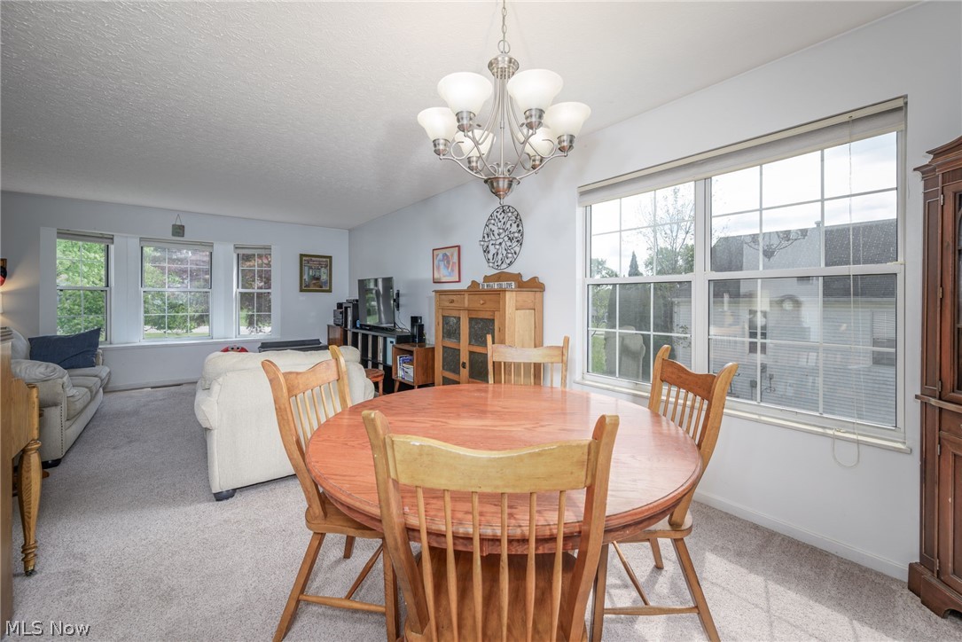 1722 W Idlewood Drive Twinsburg OH 44087