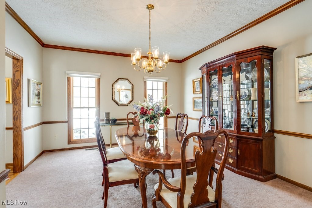 7509 Lakedge Court Hudson OH 44236