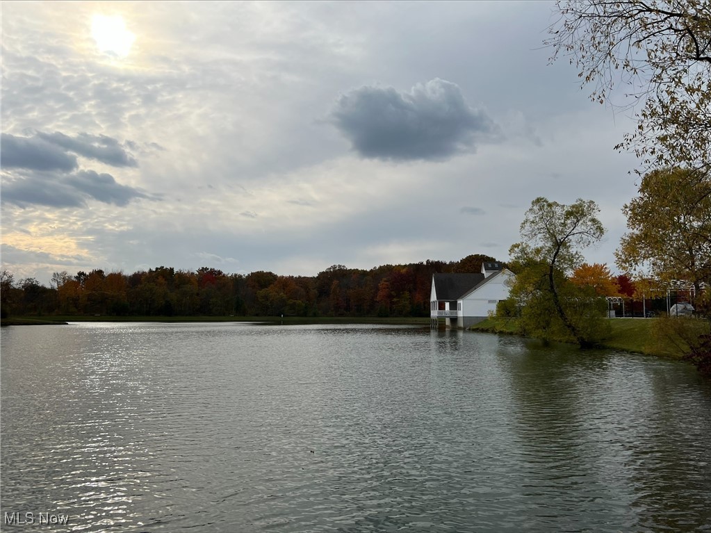 7509 Lakedge Court Hudson OH 44236