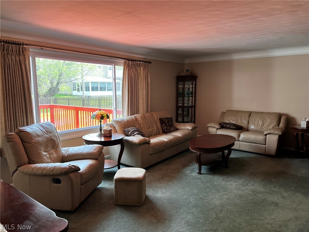 5839 Alberta Drive Lyndhurst OH 44124