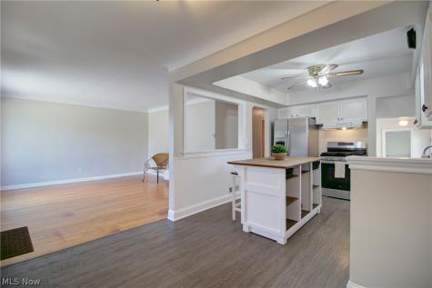 4388 W 155th Street Cleveland OH 44135
