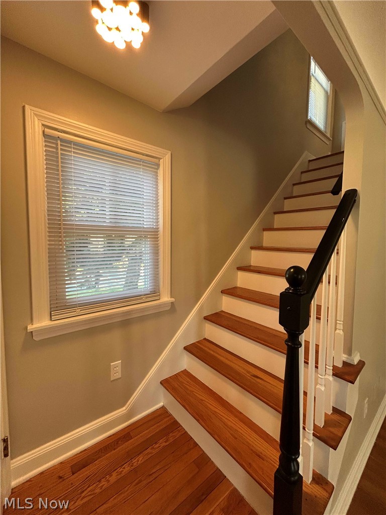 4856 Edsal Drive Lyndhurst OH 44124