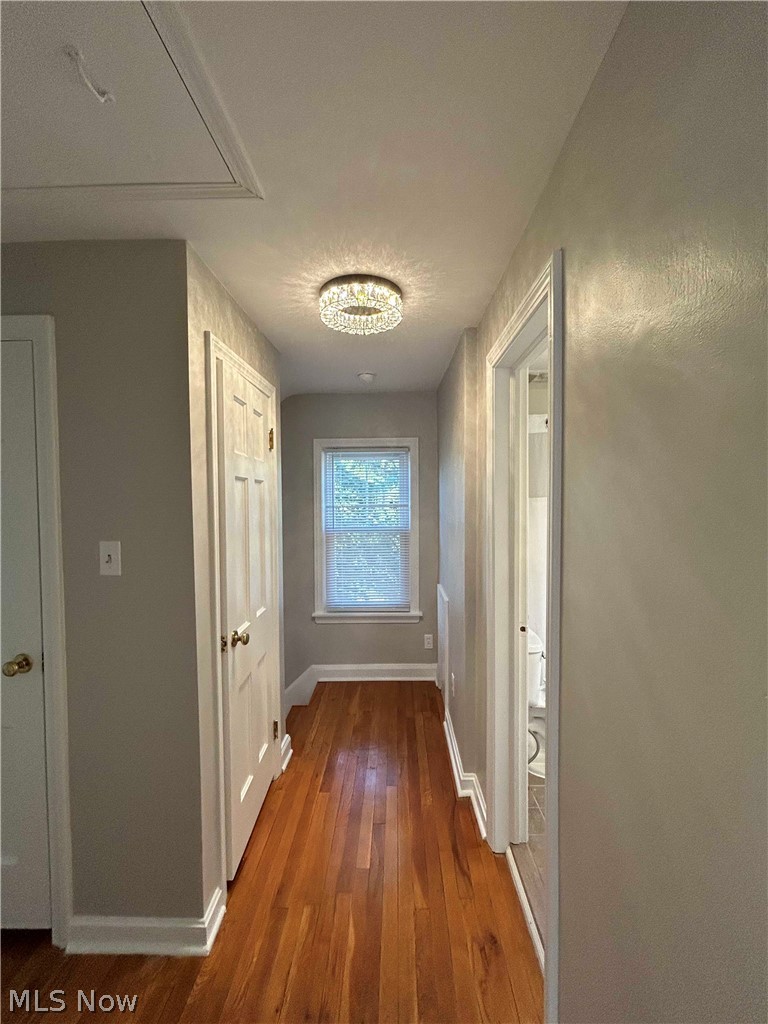 4856 Edsal Drive Lyndhurst OH 44124