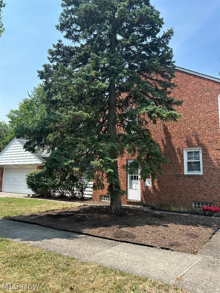 4856 Edsal Drive Lyndhurst OH 44124