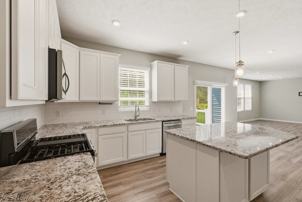 3176 Blue Jaye Lane Twinsburg OH 44087