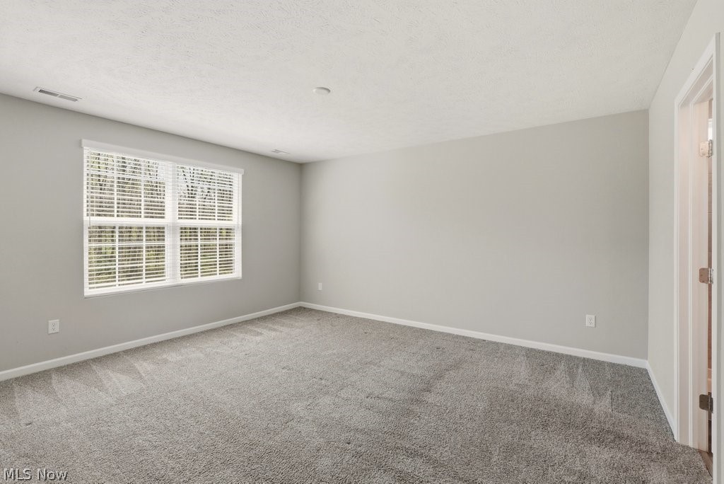 3176 Blue Jaye Lane Twinsburg OH 44087