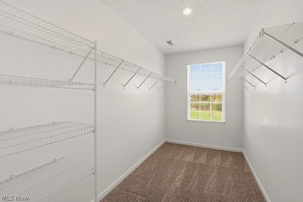3176 Blue Jaye Lane Twinsburg OH 44087