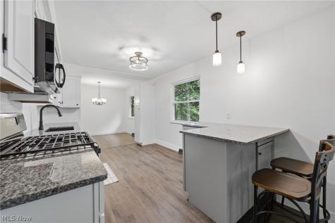 3133 Fair Oaks Drive Norton OH 44203