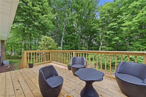 3133 Fair Oaks Drive Norton OH 44203