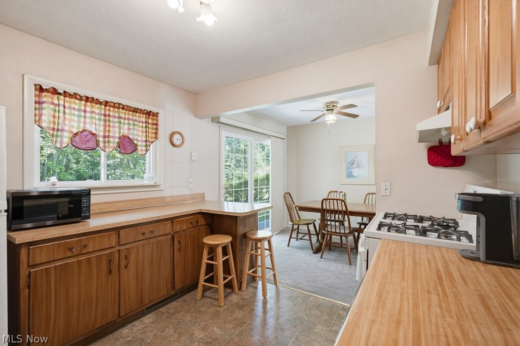 6326 Strathallan Drive Bedford Heights OH 44146