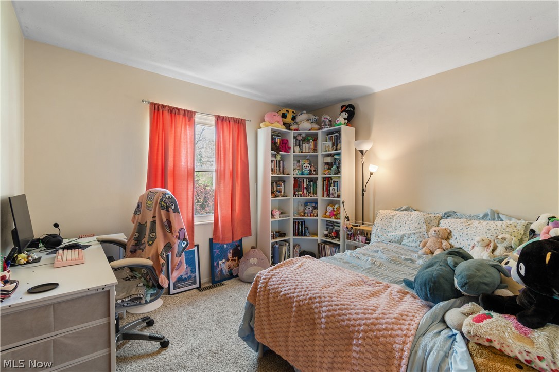 316 Hohman Avenue Akron OH 44319