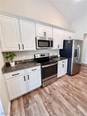 3943 Abigail Drive Lorain OH 44053