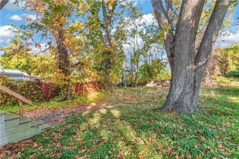 14809 Darwin Avenue Cleveland OH 44110