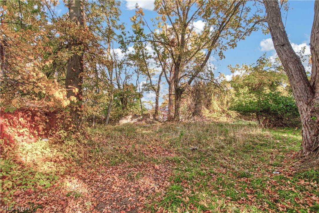 14809 Darwin Avenue Cleveland OH 44110