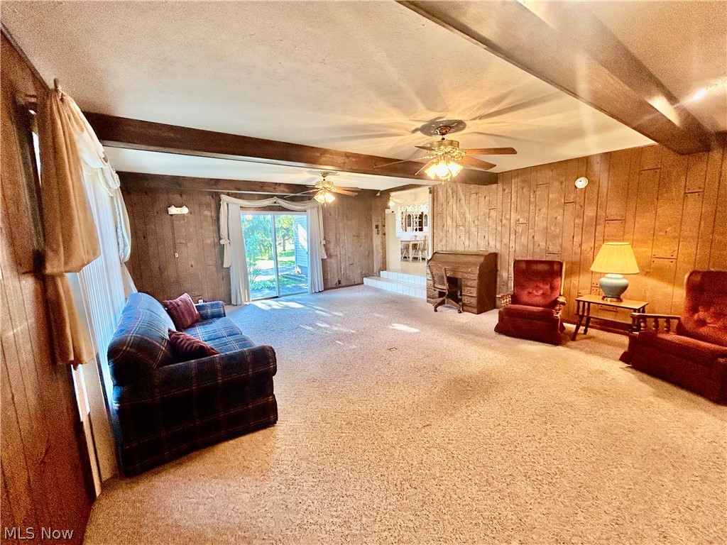501 Edison Street Struthers OH 44471