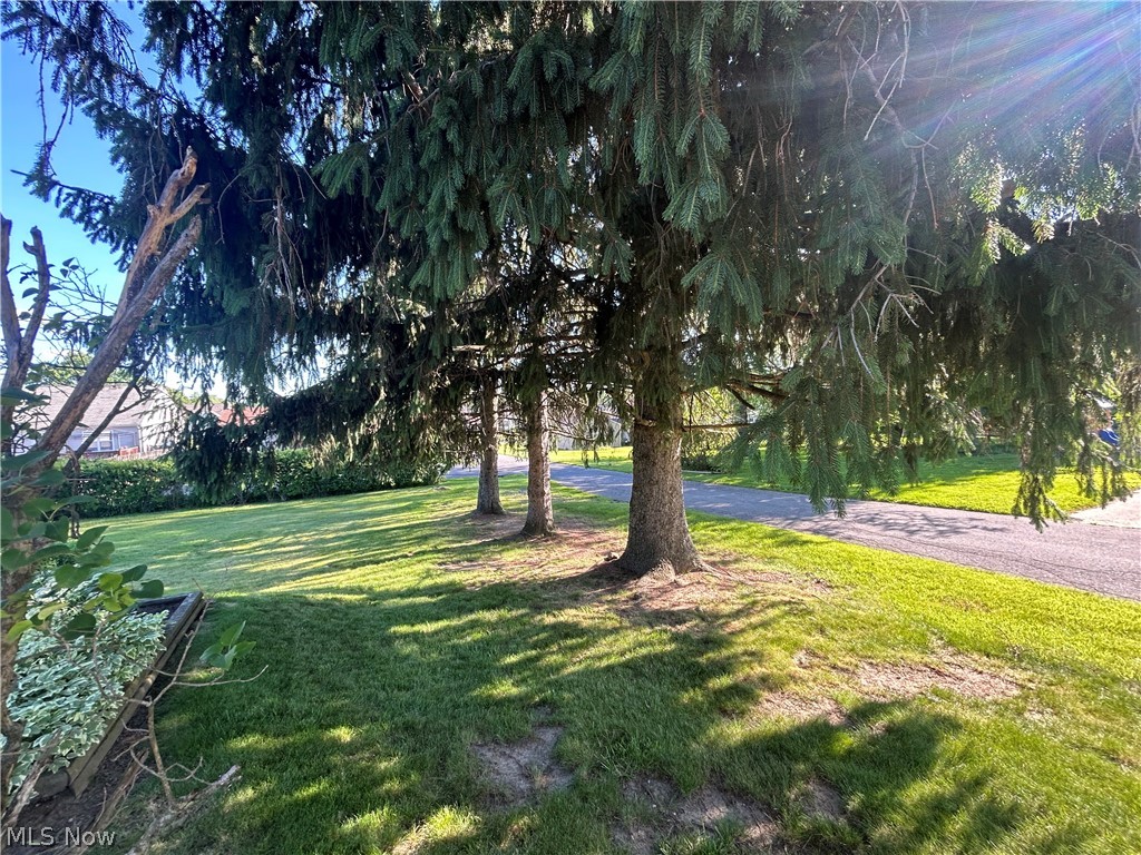 501 Edison Street Struthers OH 44471