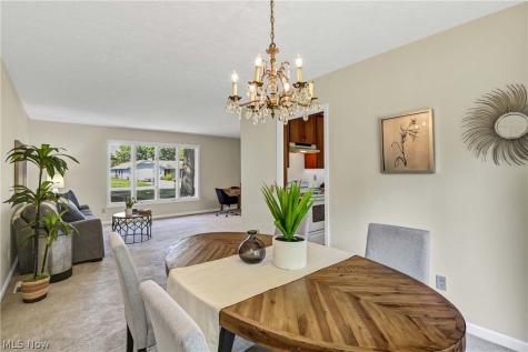 10773 Pebble Brook Lane Strongsville OH 44149