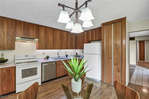 10773 Pebble Brook Lane Strongsville OH 44149