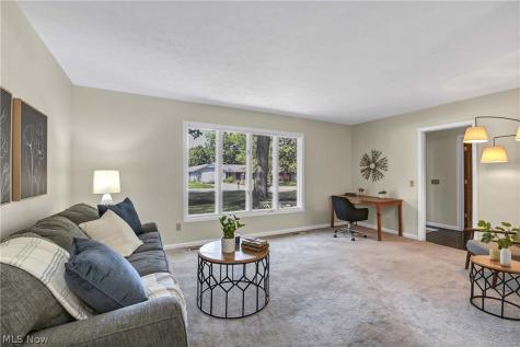 10773 Pebble Brook Lane Strongsville OH 44149