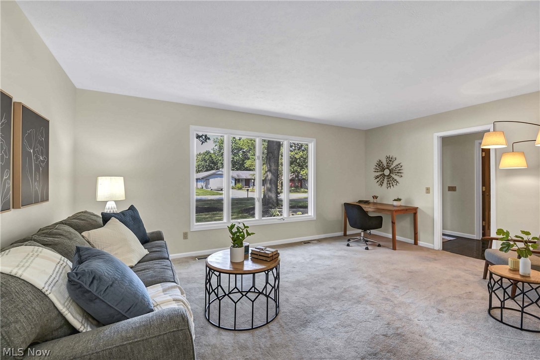 10773 Pebble Brook Lane Strongsville OH 44149
