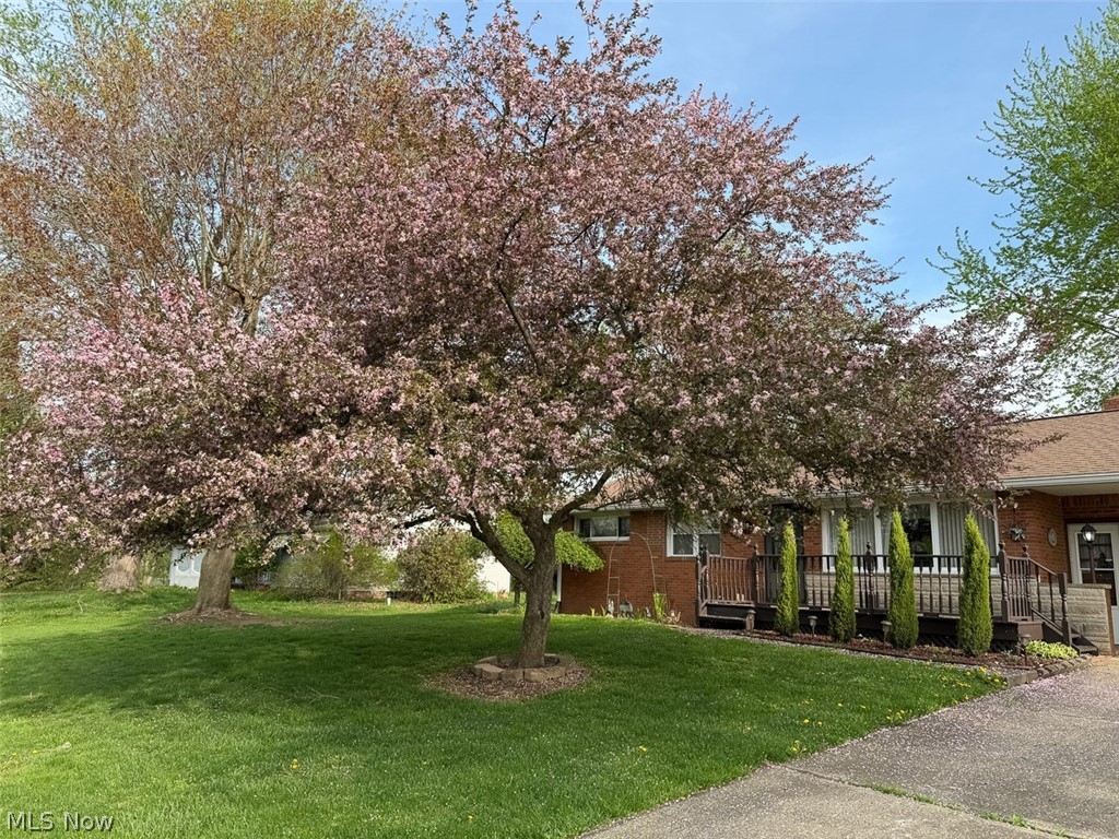 239 Fairview Street Louisville OH 44641