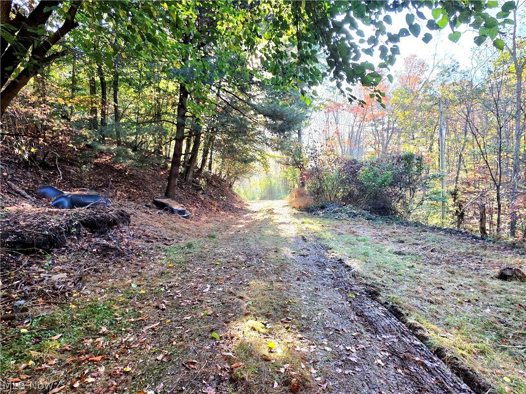 13535 Township Road 223 Big Prairie OH 44611