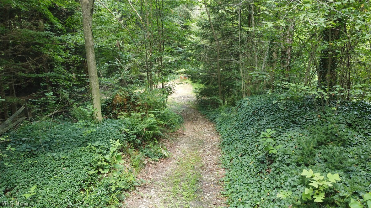 7130 Leroy Thompson Road Thompson OH 44086