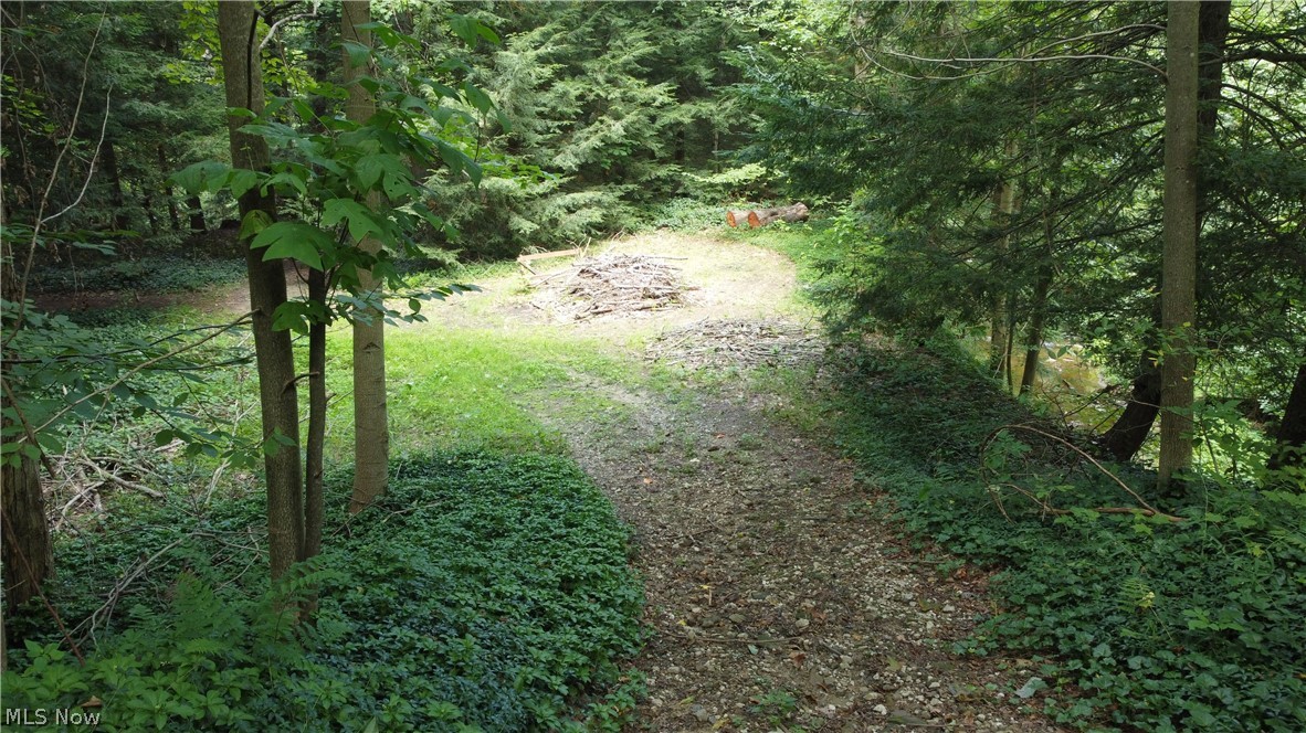7130 Leroy Thompson Road Thompson OH 44086