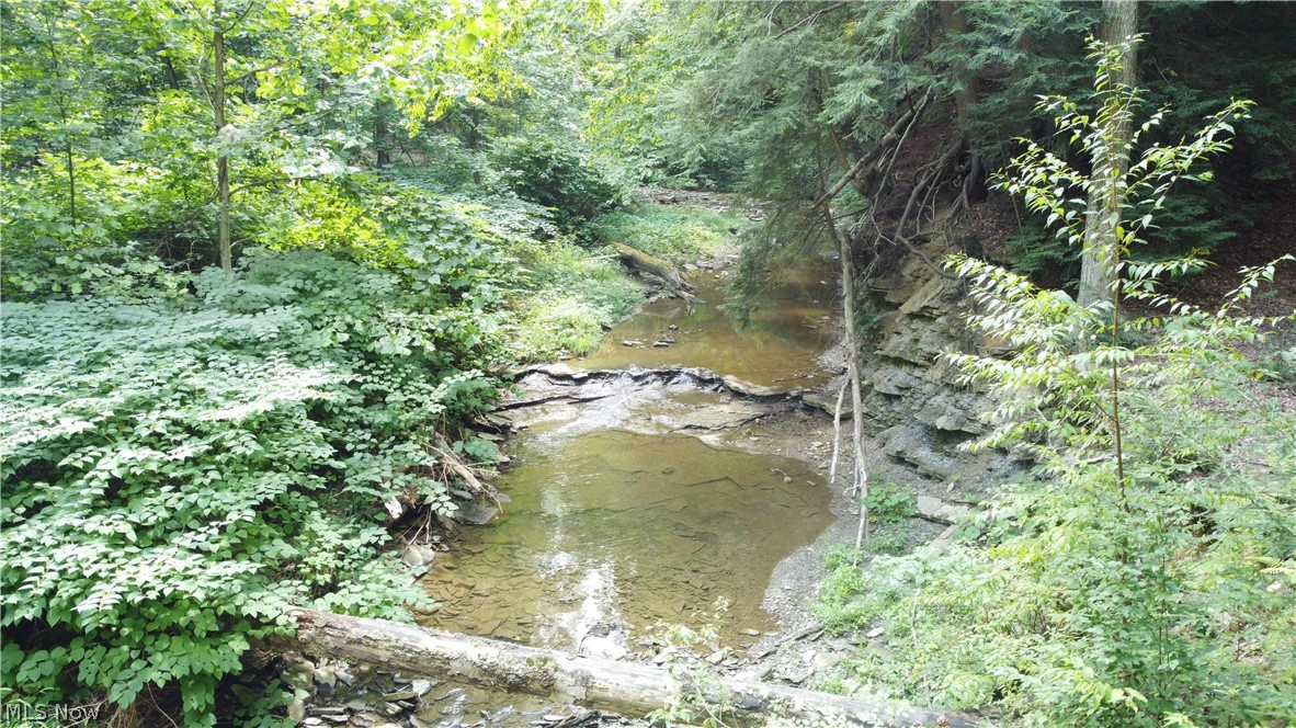 7130 Leroy Thompson Road Thompson OH 44086