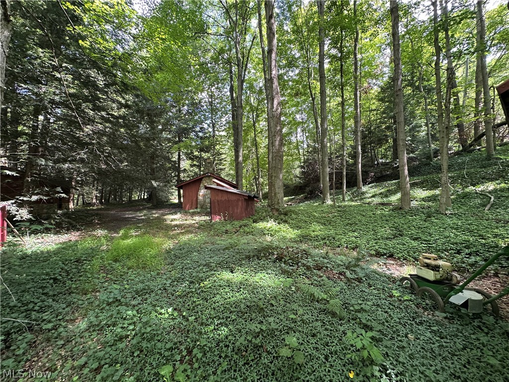 7130 Leroy Thompson Road Thompson OH 44086