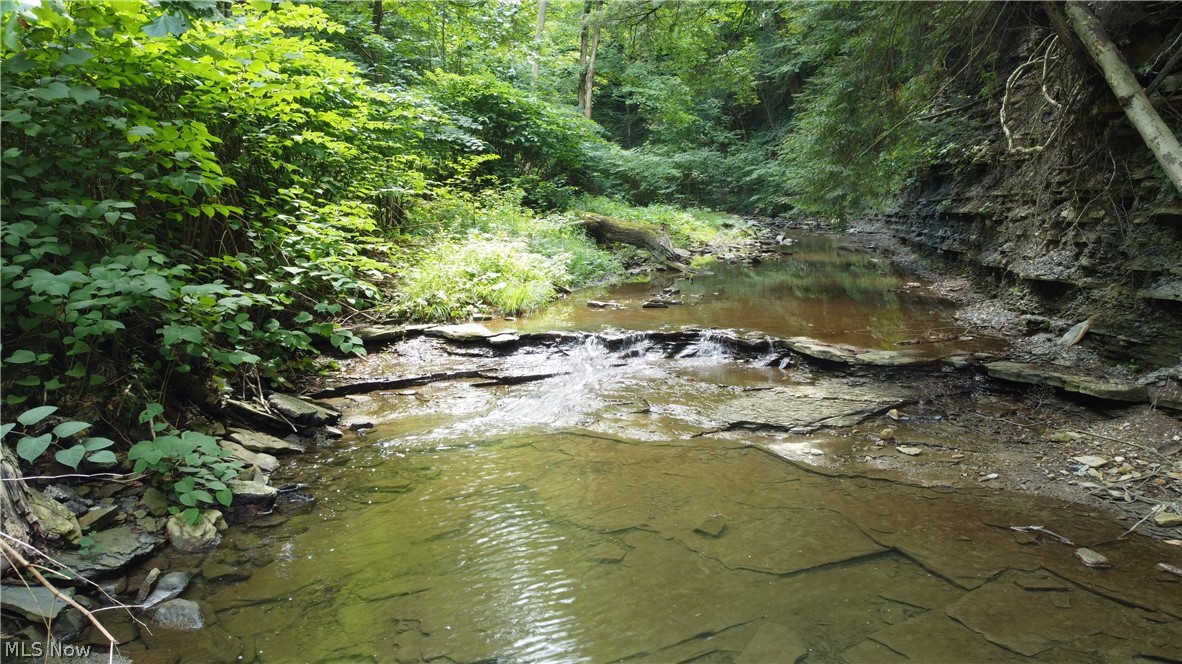 7130 Leroy Thompson Road Thompson OH 44086