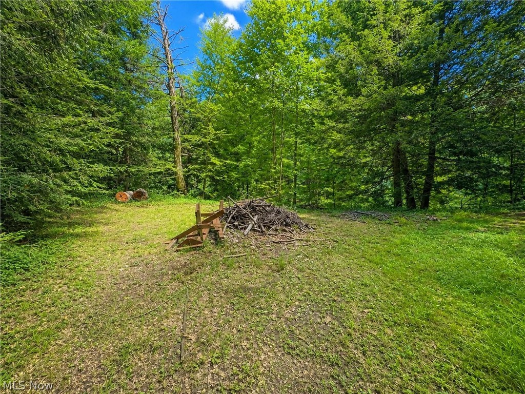 7130 Leroy Thompson Road Thompson OH 44086