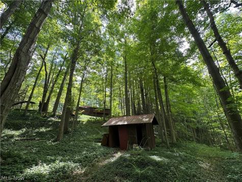 7130 Leroy Thompson Road Thompson OH 44086