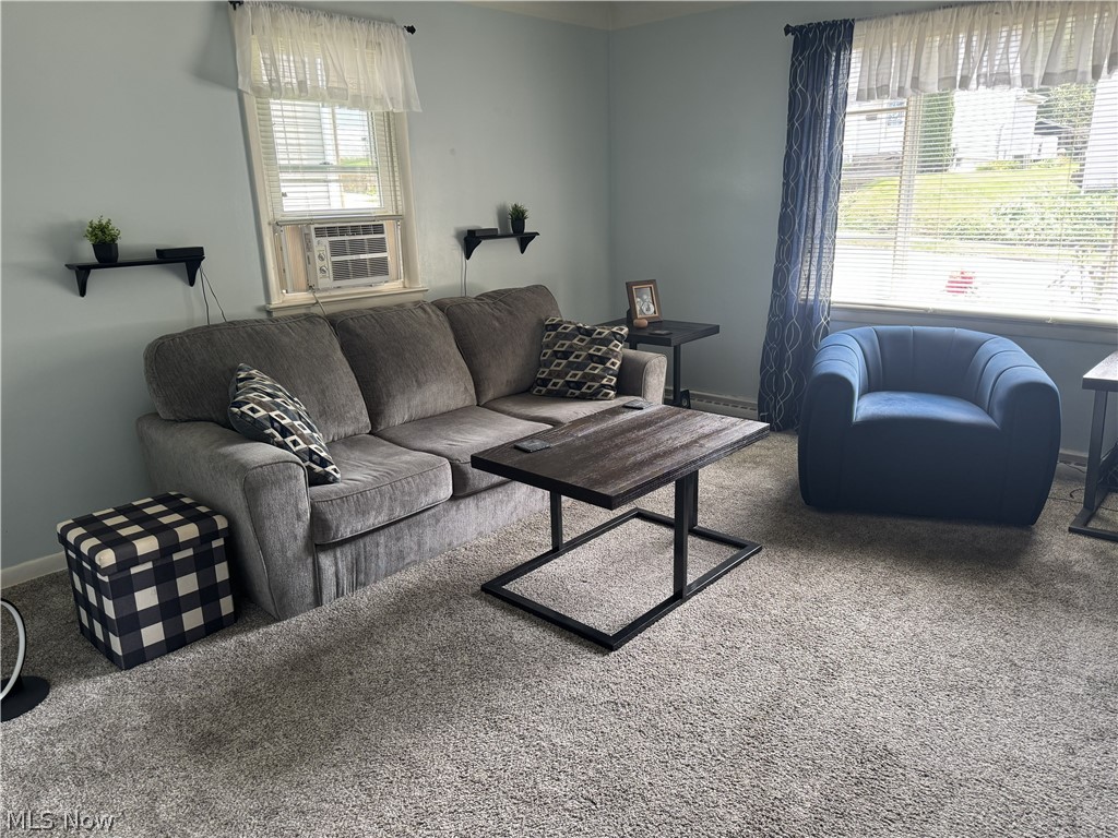 223 E Cassell Avenue Barberton OH 44203
