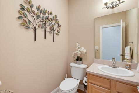2211 Meadowsweet Lane Streetsboro OH 44241