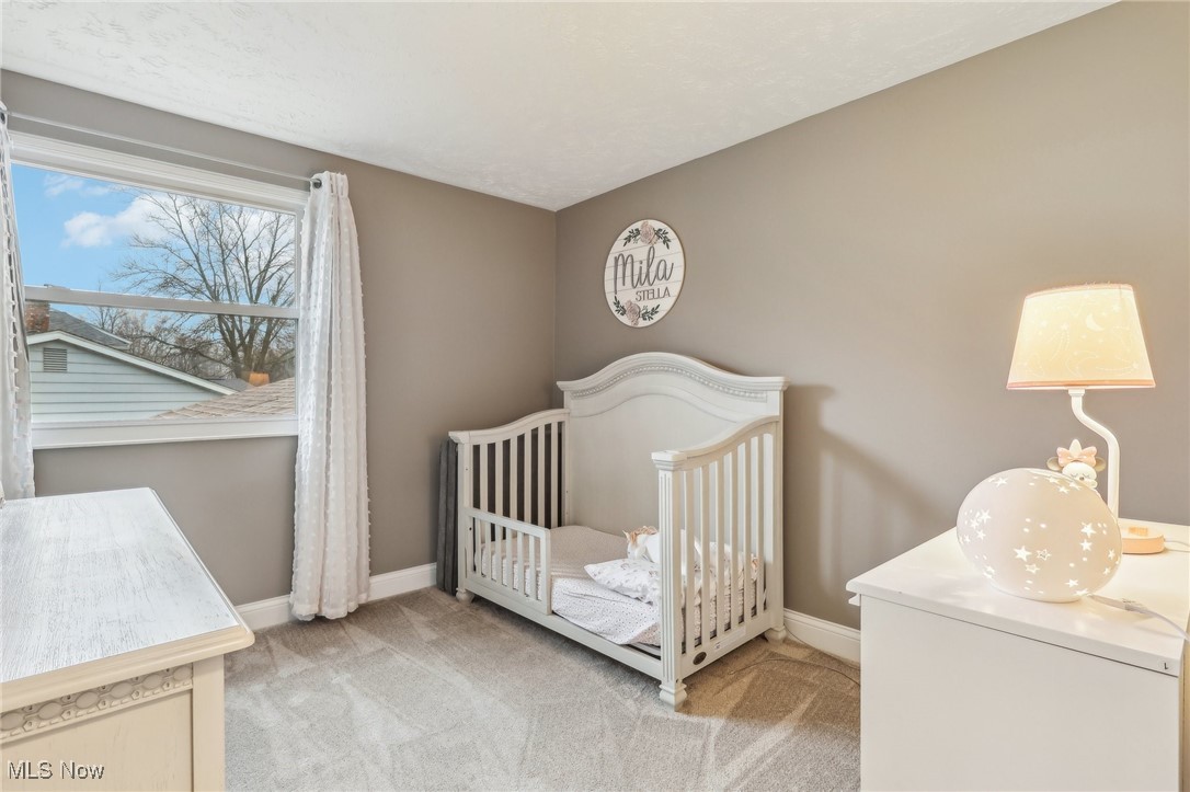 3047 Nantucket Drive Willoughby OH 44094