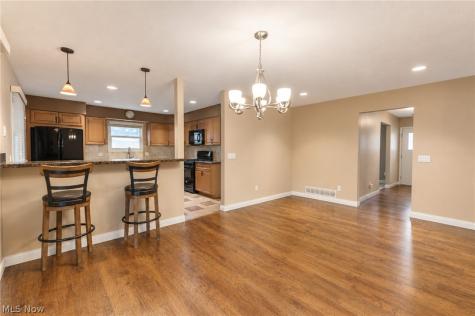 38158 Strumbly Place Willoughby OH 44094