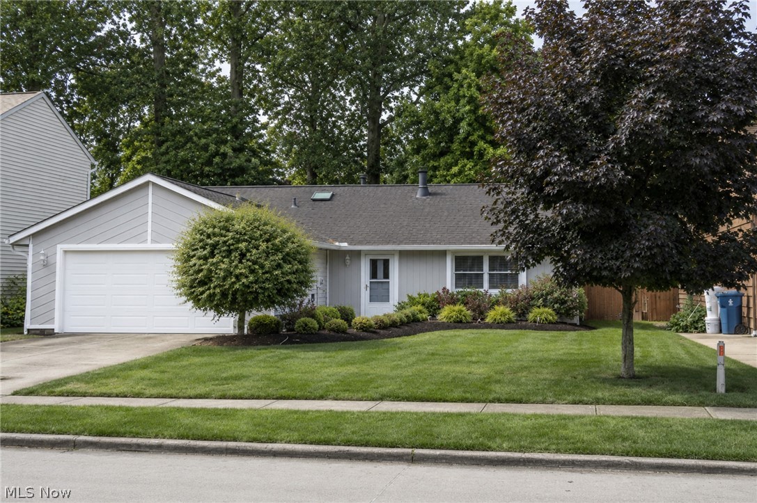 38158 Strumbly Place Willoughby OH 44094