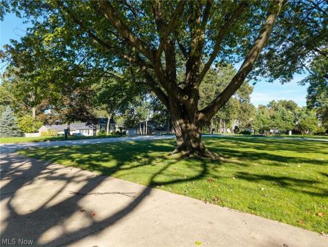 4793 Debbie Drive Medina OH 44256