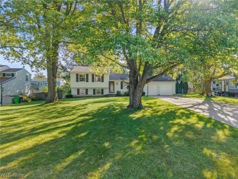 4793 Debbie Drive Medina OH 44256