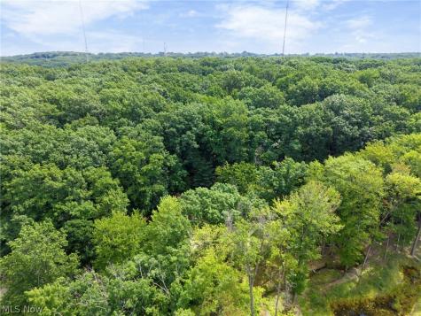 2675 W Ridgewood Drive Parma OH 44134