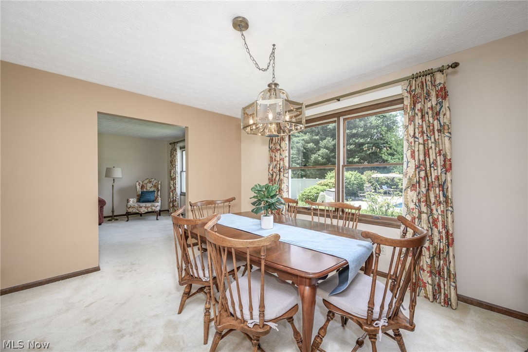 667 Clark Drive Tallmadge OH 44278