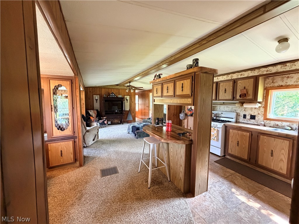9248 Indian Lake Road Byesville OH 43723