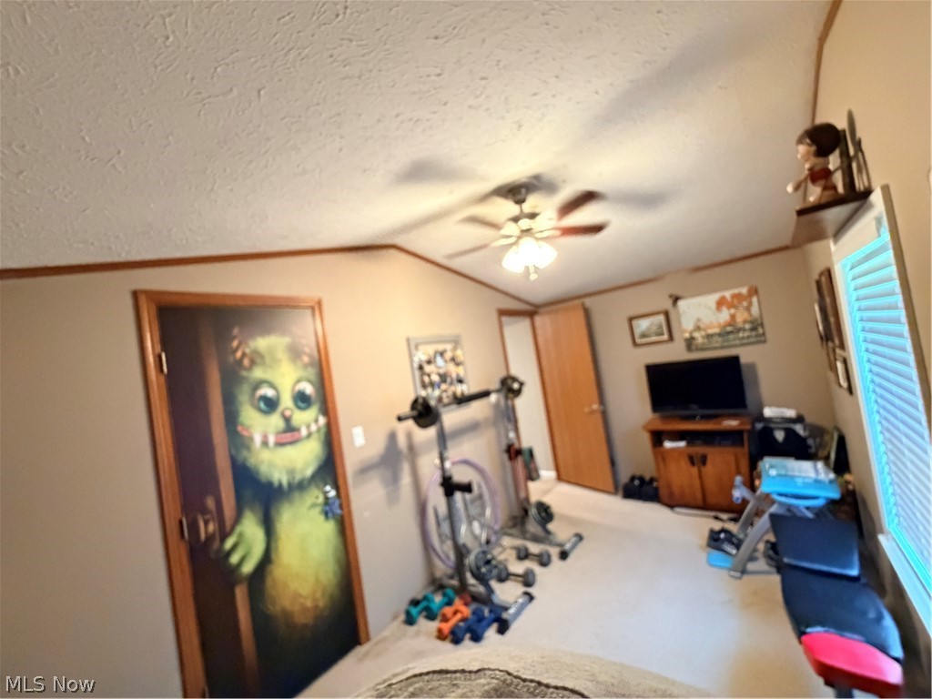 9248 Indian Lake Road Byesville OH 43723