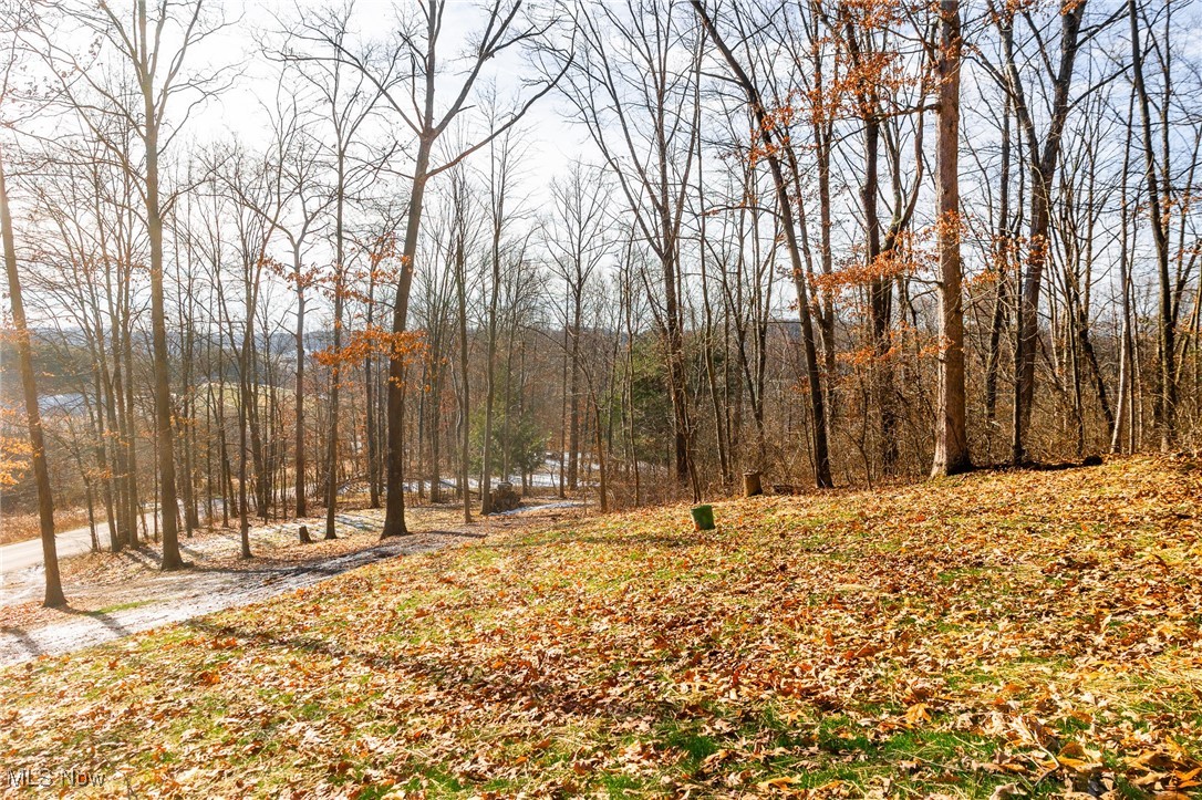 6257 Caddy Road SW Bowerston OH 44695