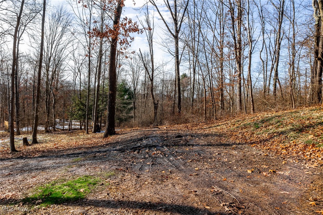 6257 Caddy Road SW Bowerston OH 44695