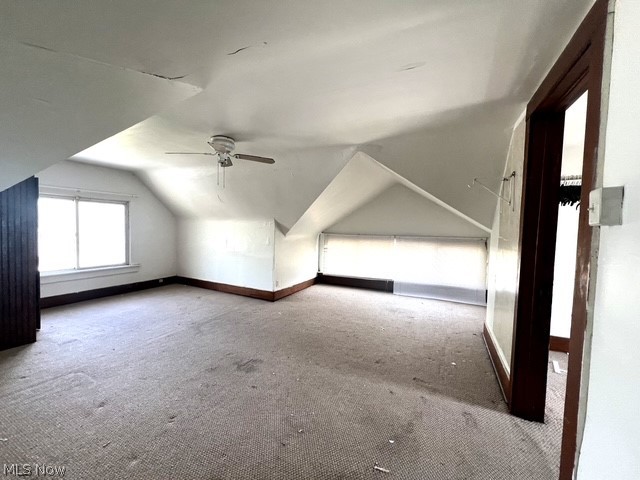 238 Para Avenue Akron OH 44305