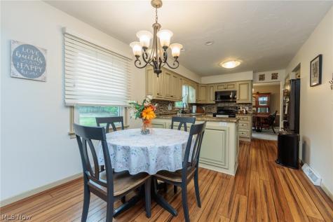 205 Woodland Drive Medina OH 44256